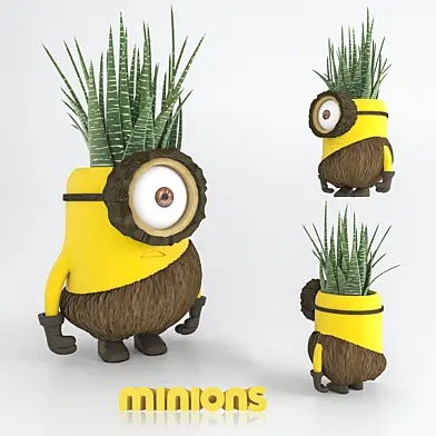 minion haworthia
