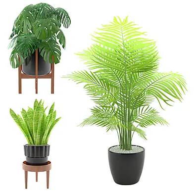 Plants