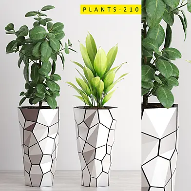 PLANTS 210