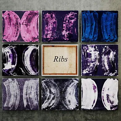 Abstract Paintings Ribs