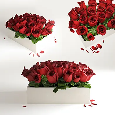 redflower