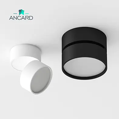 Светильник накладной поворотный от Ancard