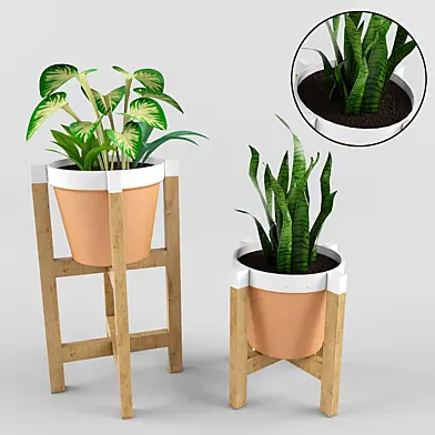 plant collection 02