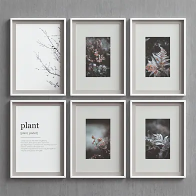 Picture Frames Set-72