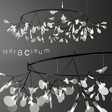 Chandelier Moooi Heracleum Big O Small BLACK