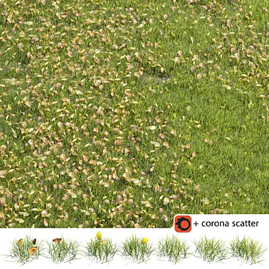 Autumn lawn