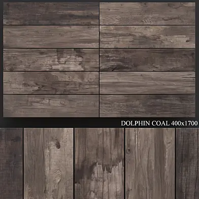 ABK Dolphin Coal 400x1700
