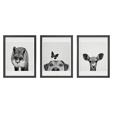 Black and white animals set
