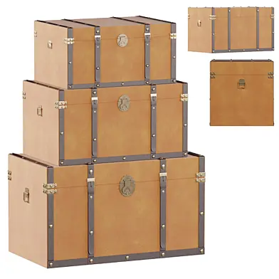 Accent Furniture Rectangular Wooden Trunks