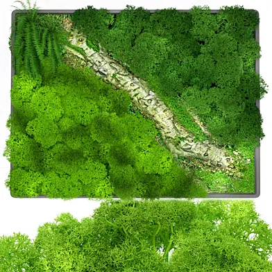 JC Fitowall With High Poly Moss