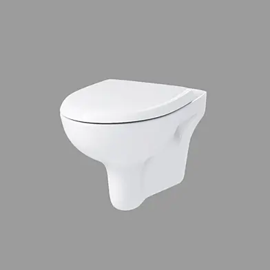 Унитаз подвесной: NATURE NEW CLEAN ON с кр.дюропл. lifting., белый