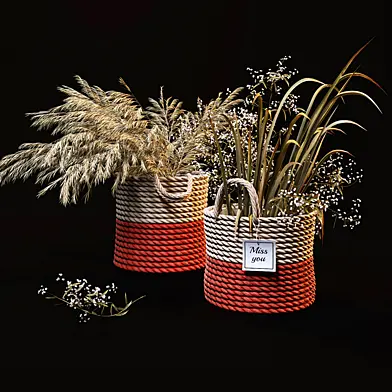 Field plants set