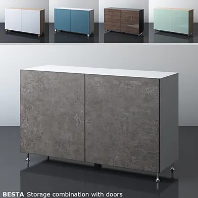 IKEA BESTA Комбинация для хранения с двумя дверцами