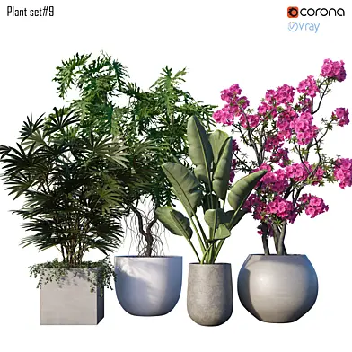 Plant set # 9
