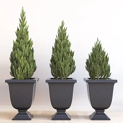 Mayne Augusta Planter Set