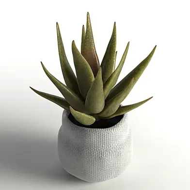 Faux aloe plant in pot