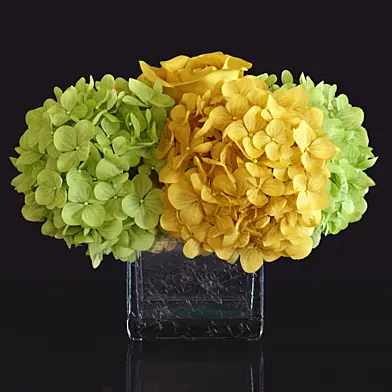 Floral Arrangement: Hydrangea and Rose