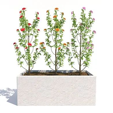 flowering bush