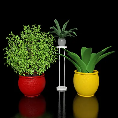 Plants collection