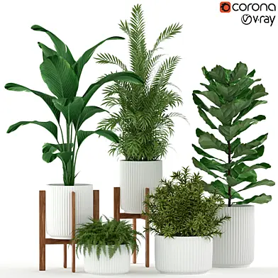 Plants collection 194