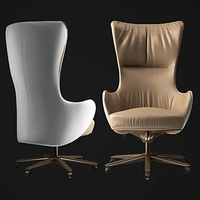 Giorgetti Genius office armchair
