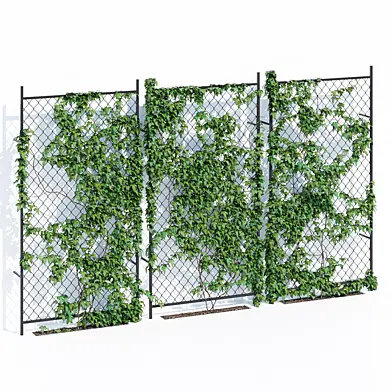 Ivy wall two