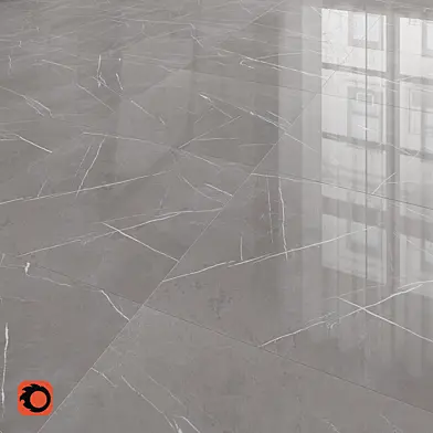 Majesty grey Floor Tiles