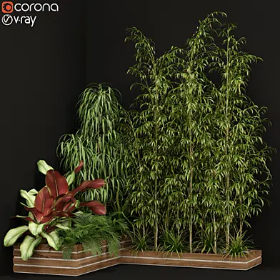 Plants collection 201