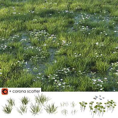 Grass and Puddle