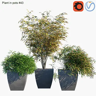 Plant in pots #43 : Palm and grass