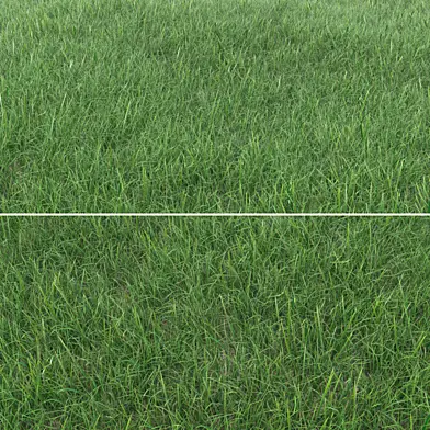 Grass_Landscaping_02