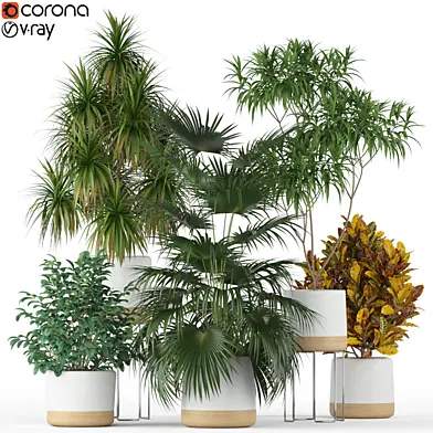 Plants collection 203