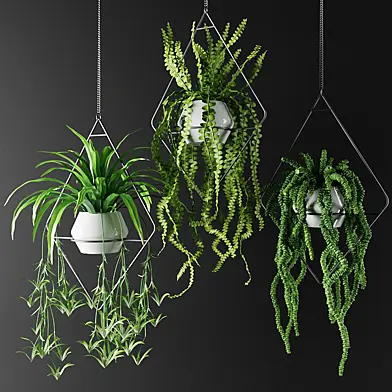 Растения в подвесных кашпо в ромбах | Plants in hanging flowerpots in diamonds