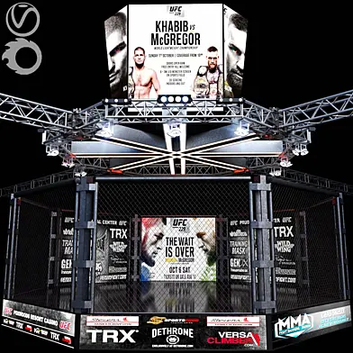 UFC Fighting Stage