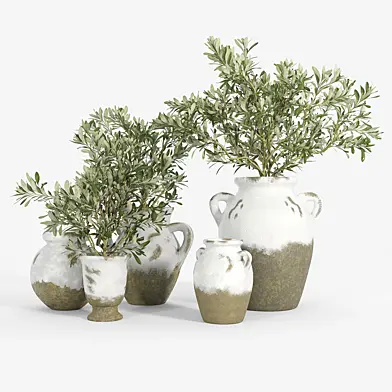 Tuscan Terra Cotta Vases