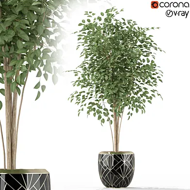 Plants collection 227