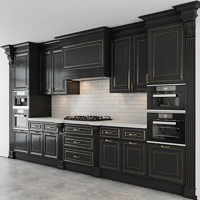 Black and Gold Lux Kitchen