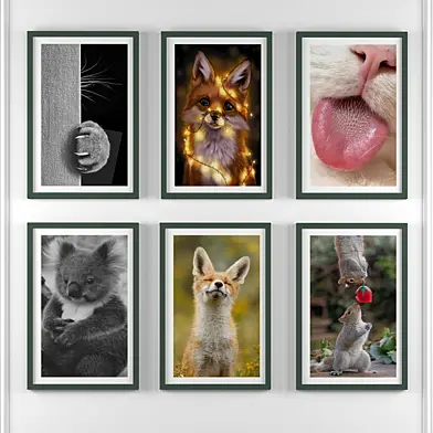 frame set_animal01