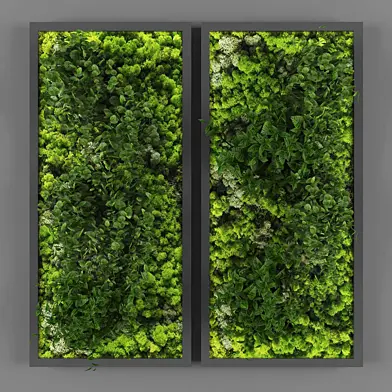 Vertical garden 062