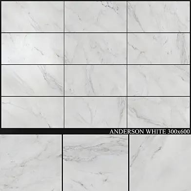 Yurtbay Seramik Anderson White 300x600