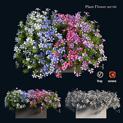 Plant Flower set 03