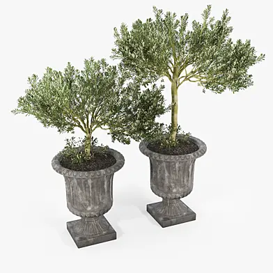Crawfordsland Metal Pot Planter 01