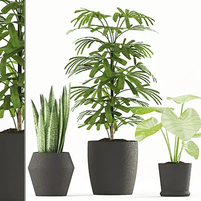Plants 182