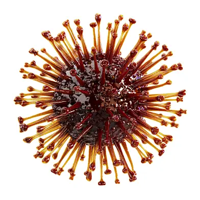 Coronavirus Covid-19