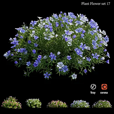 Plant Flower set  17
