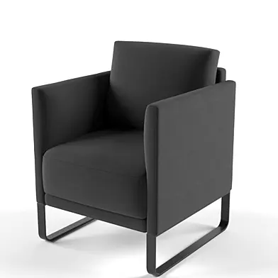 Rolf Benz 009 Cara | Sled Base Armchair