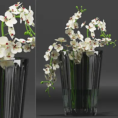 Bouquet 01