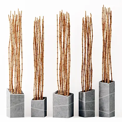 Bamboo vase slice thin branch decor n3 / Ветки бамбука в вазах
