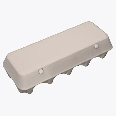 Egg cardboard package for 10 eggs