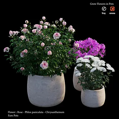 Grow Flower in pot
